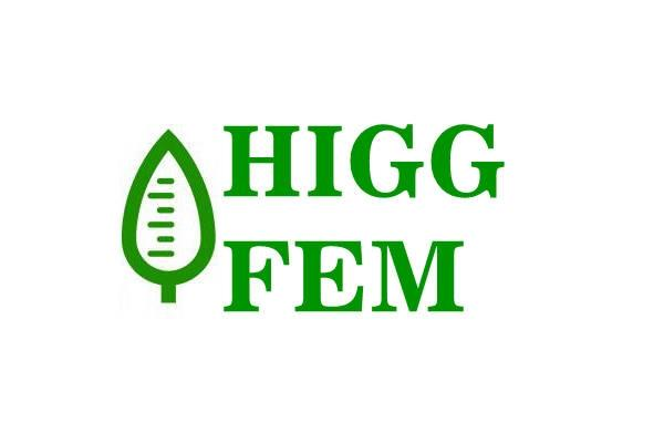 HIGG-FEM审核